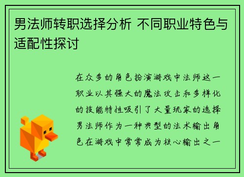 男法师转职选择分析 不同职业特色与适配性探讨